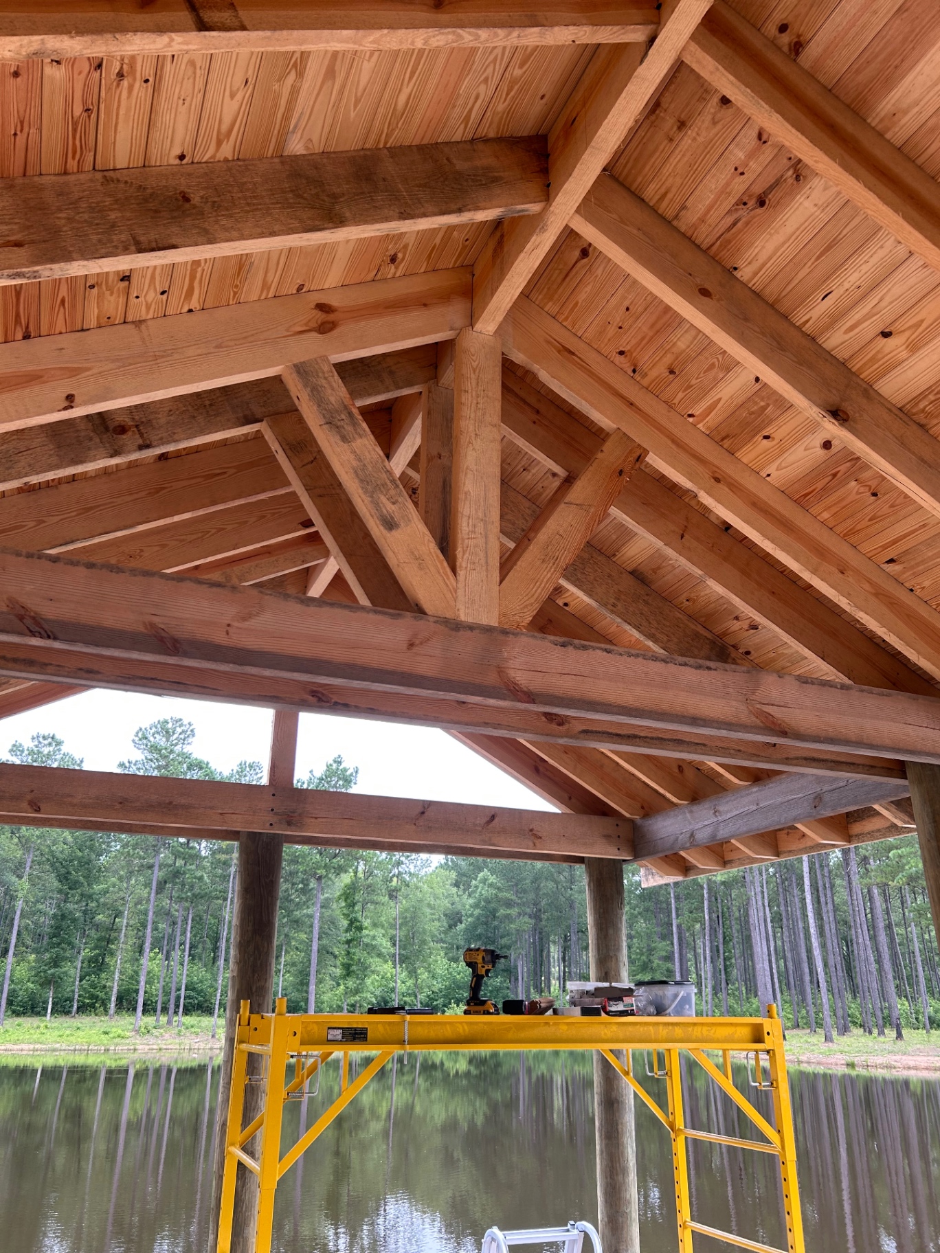 Interior view of dock pavilion roof framing with exposed trusses and beams